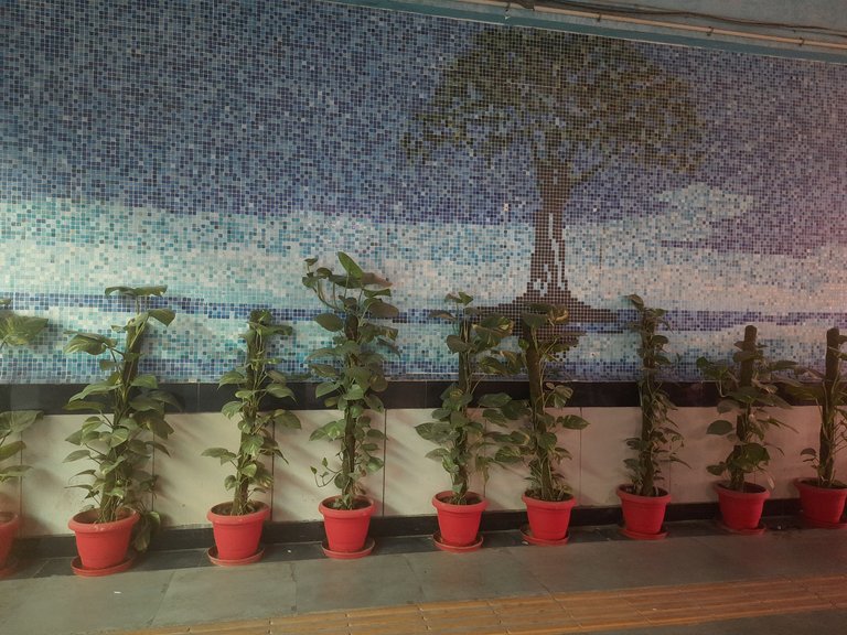 20230405_065013.jpg