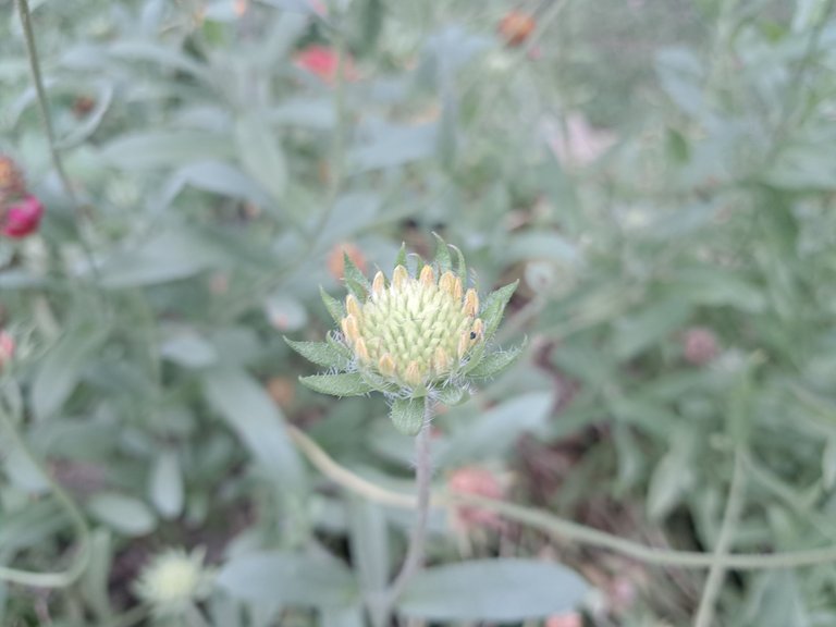 20250727_144338.jpg