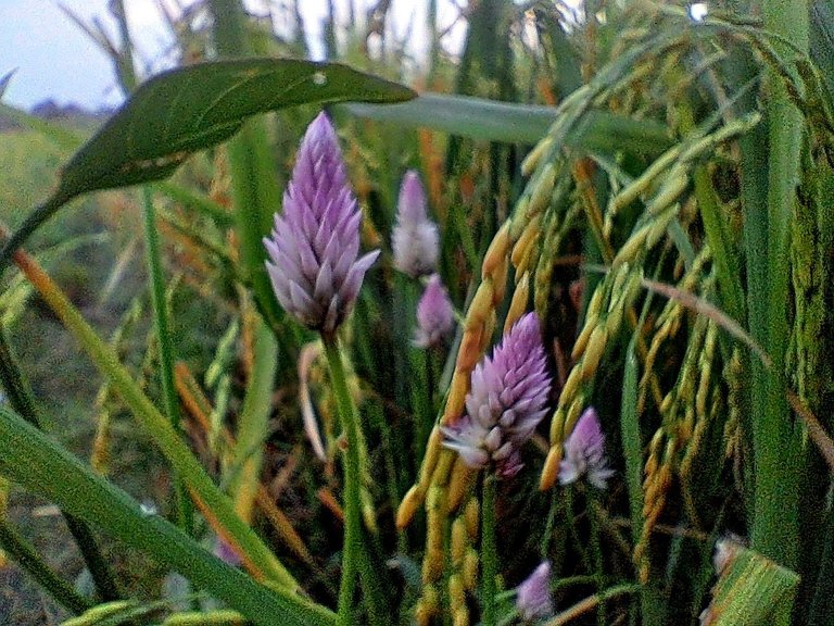 20231120_170146.jpg