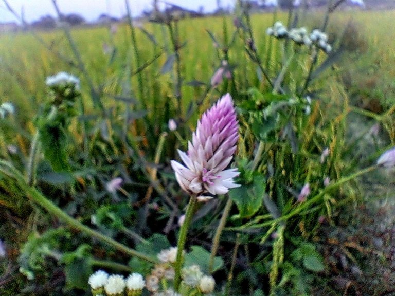 20231120_165356.jpg