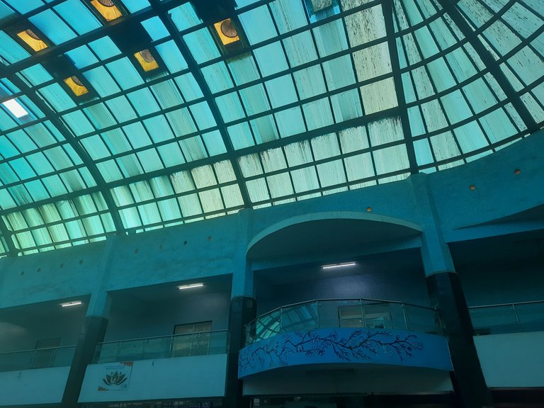 20230405_065026.jpg