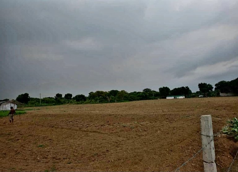 1000079475.jpg