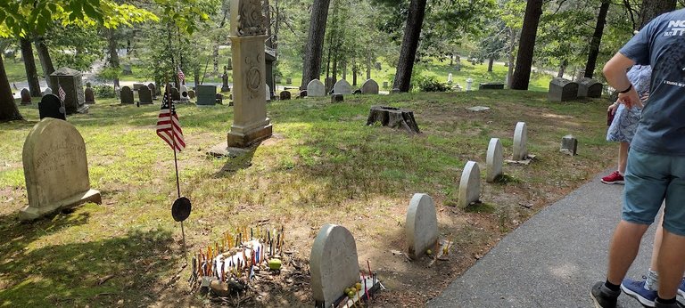 Alcott plot