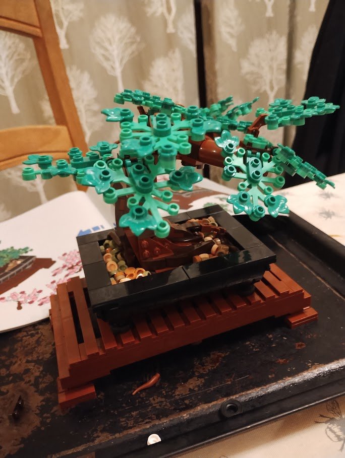 Bonsai in leaf