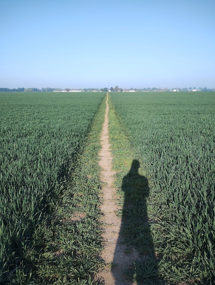 Straight ahead