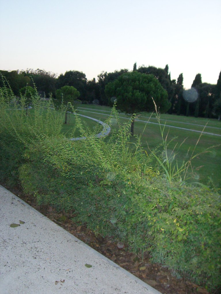 80g-CIMG2582.JPG