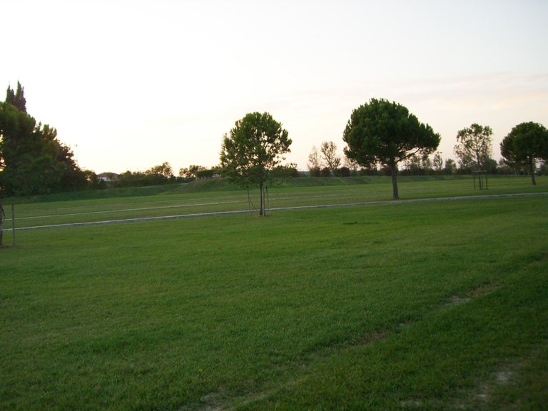 30f-CIMG2570.JPG