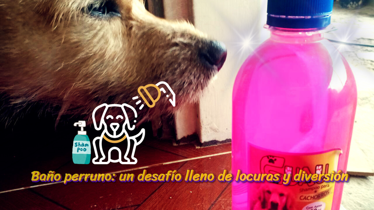 Diseño sin título.png