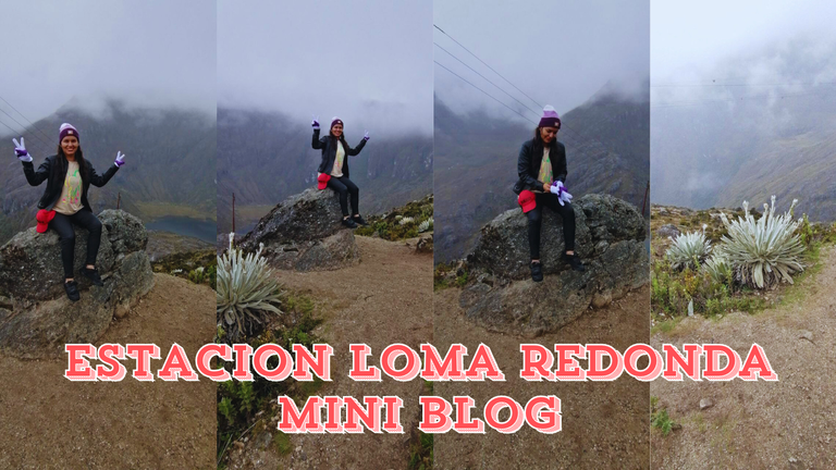 estacion loma redonda.png