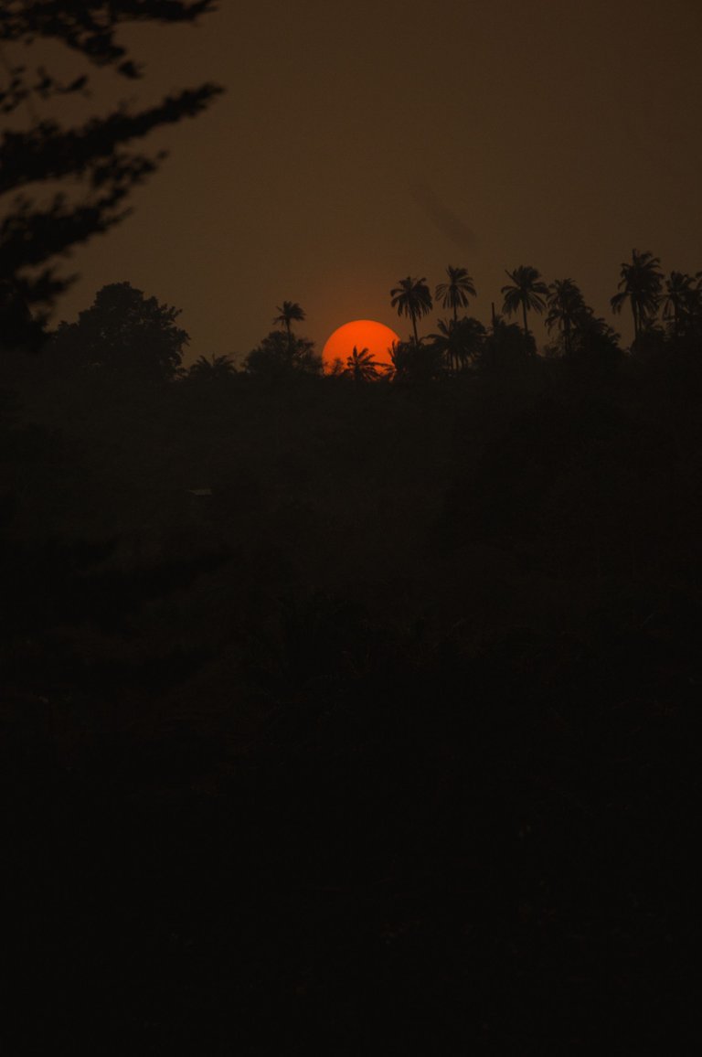 DSC_0066.jpg