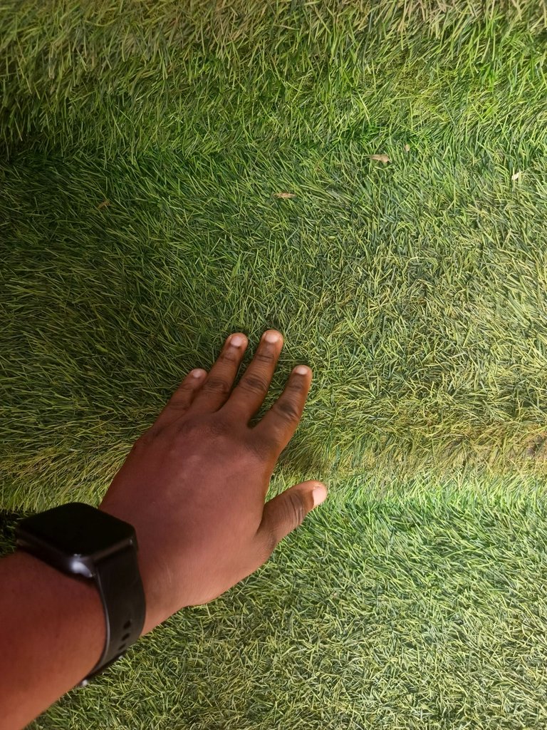 1000600345.jpg