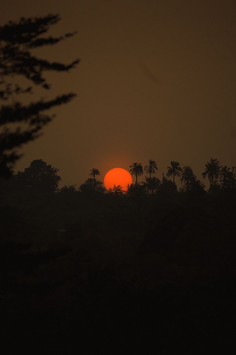 DSC_0064.jpg