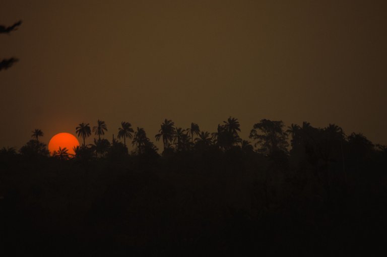 DSC_0065.jpg
