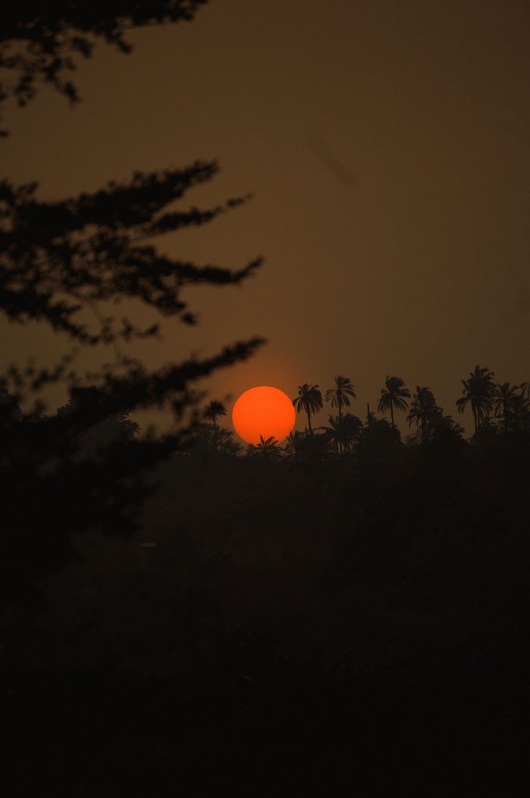 DSC_0062.jpg