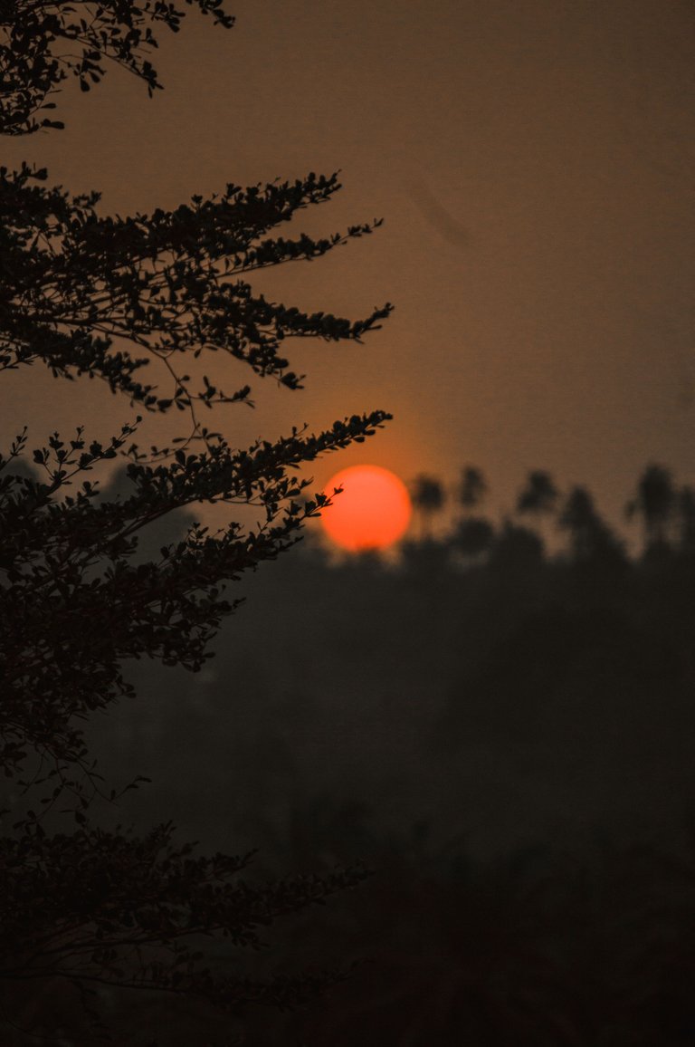 DSC_0061.jpg