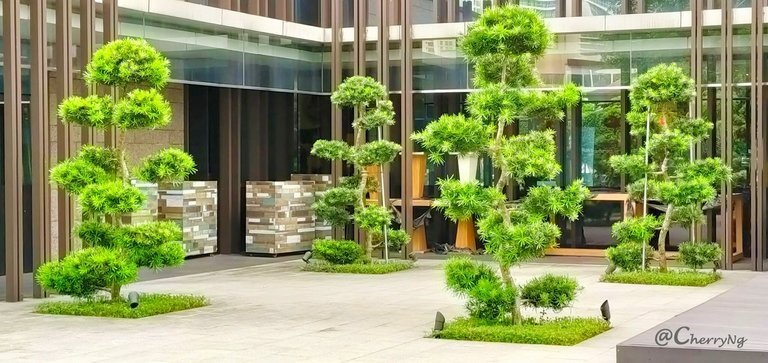 Zhongshan Park.jpg