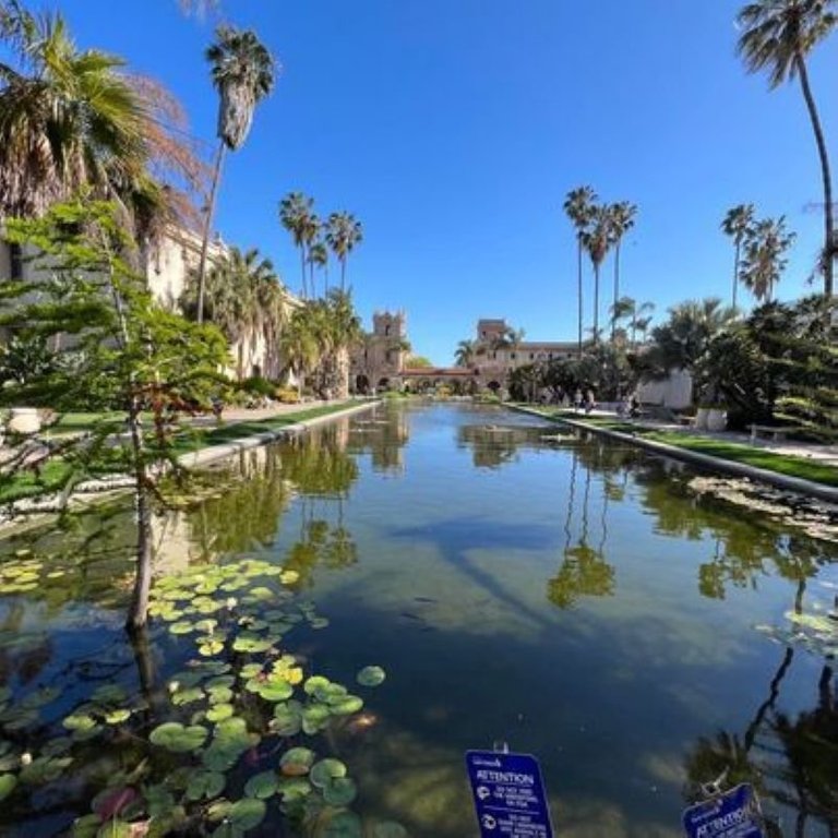 pond view.jfif