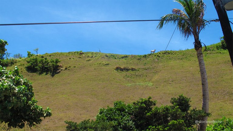 BATANES 016.jpg