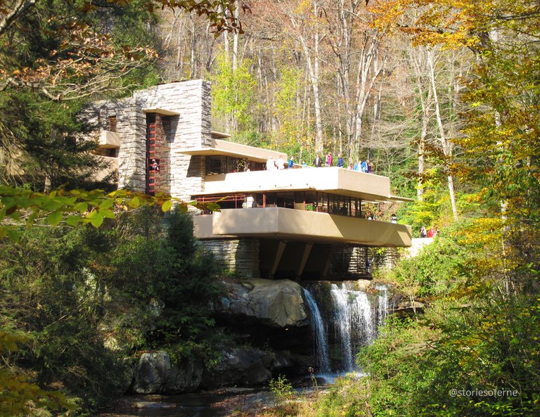 FALLINGWATER 01.jpg