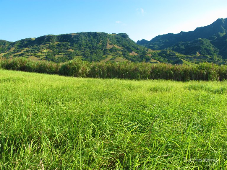 BATANES 083.jpg