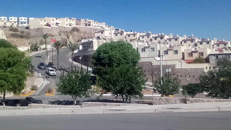 P_20240427_092038.jpg