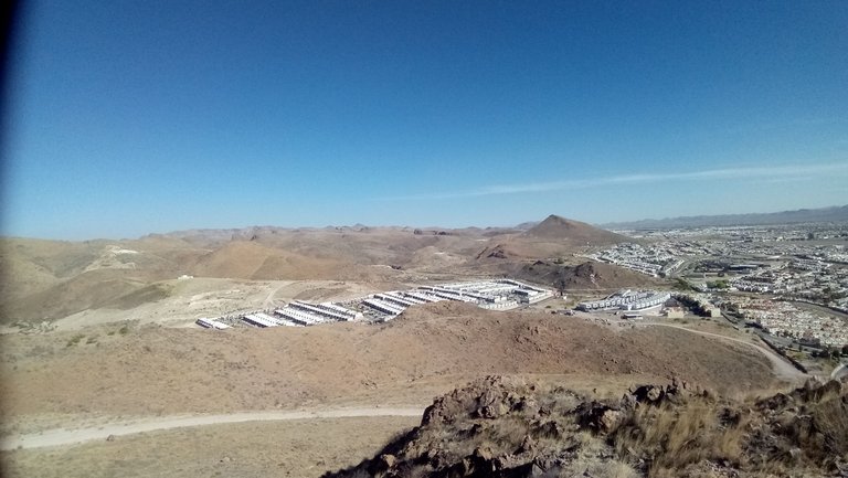 P_20240427_085558.jpg