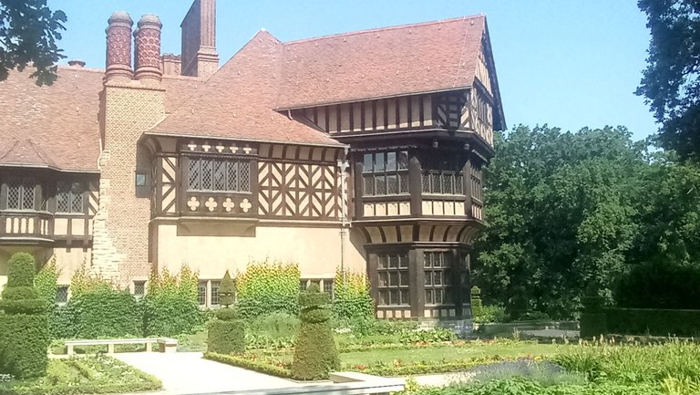 P_20230618_103419.jpg