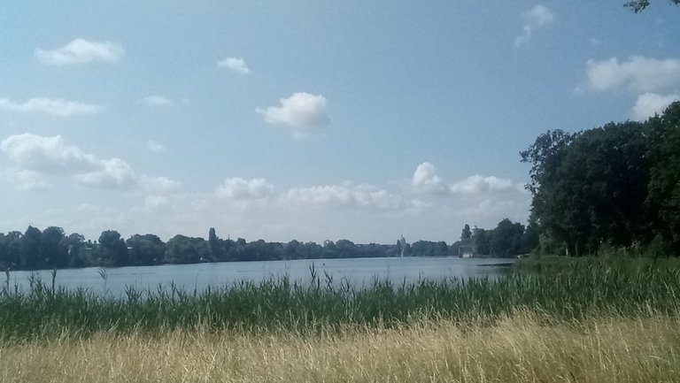 P_20230618_104939.jpg