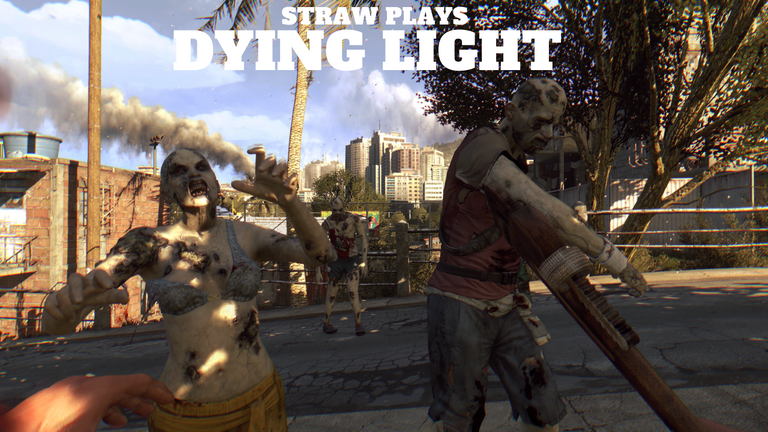 STRAW PLAYS DYING LIGHT.png