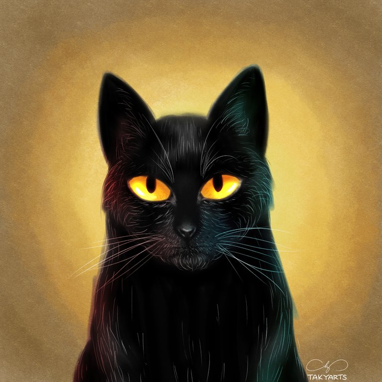black cat11.jpg