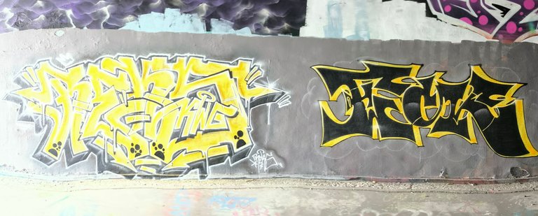 PANO_20250809_100942.jpg