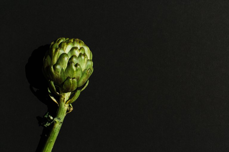 HBfruitvege_034.jpg