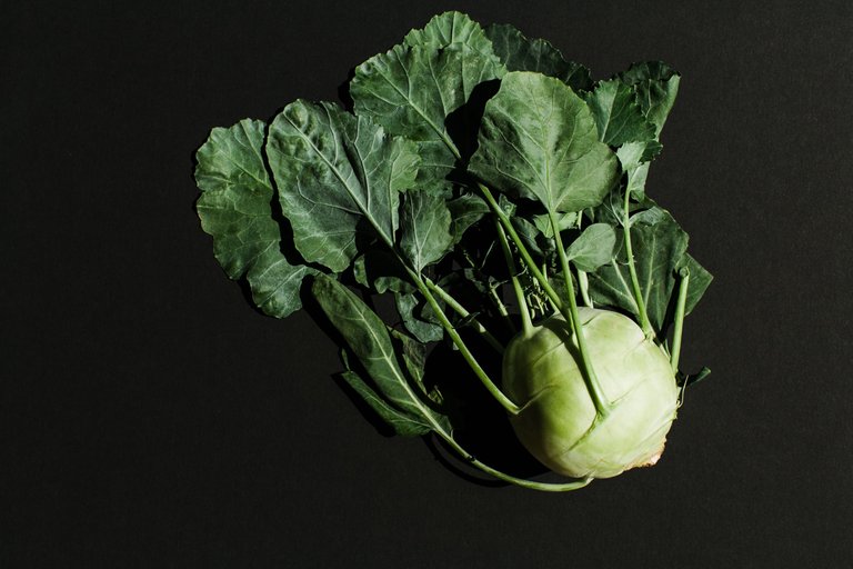 HBfruitvege_033.jpg