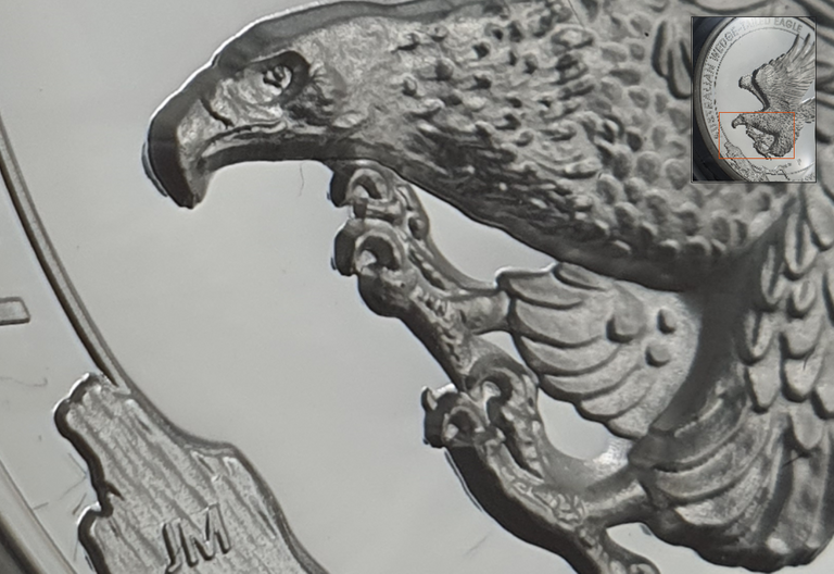 wedge-tailed-eagle-closeup.PNG