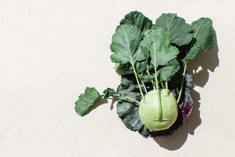 HBfruitvege_056.jpg