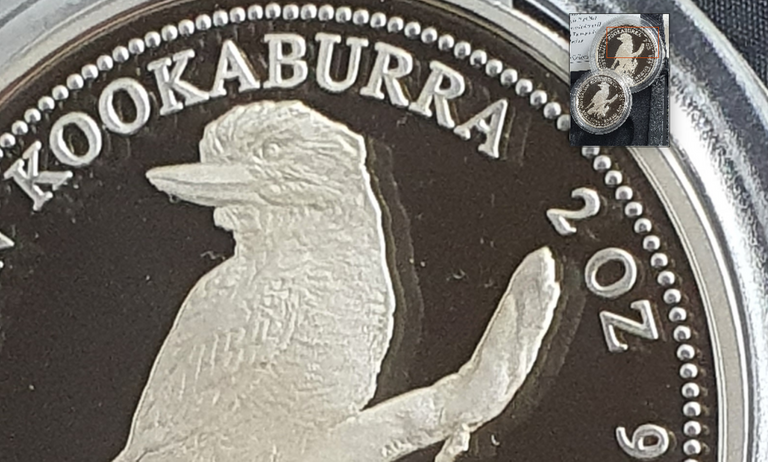 kookaburra-2oz-closeup.PNG