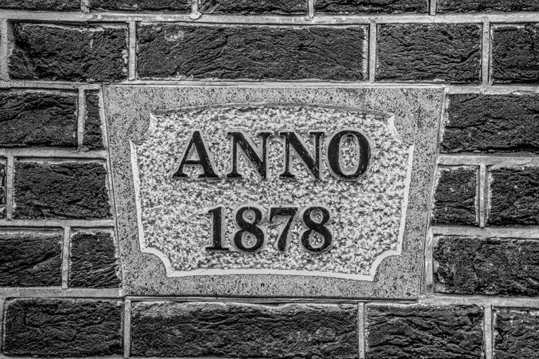 A7401142_01.jpg
