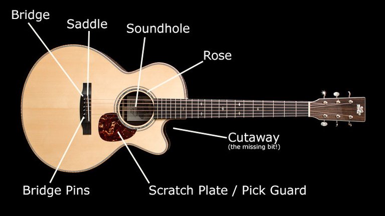 BC009GuitarAnatomy3.jpg