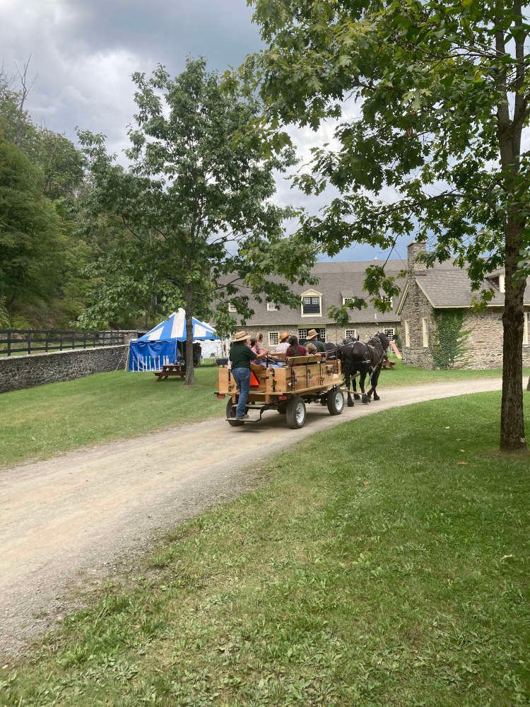 The horse-drawn carriage waits for no farmer.