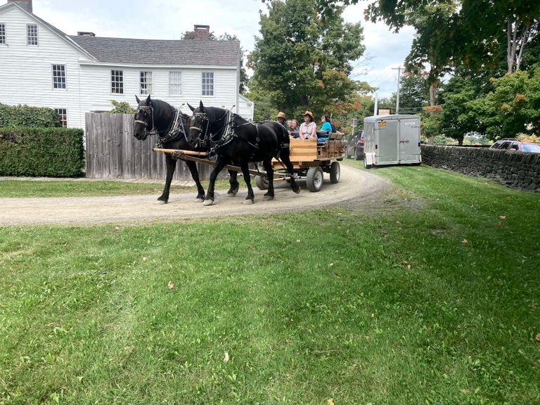 The horses' next stop was right beside the puppet theater.