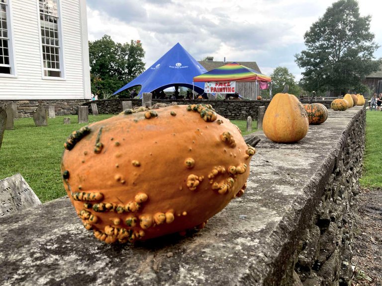 These ugly little squashes on the wall of the church cemetery remind passersby that it is a harvest festival, after all, and not merely a history festival.