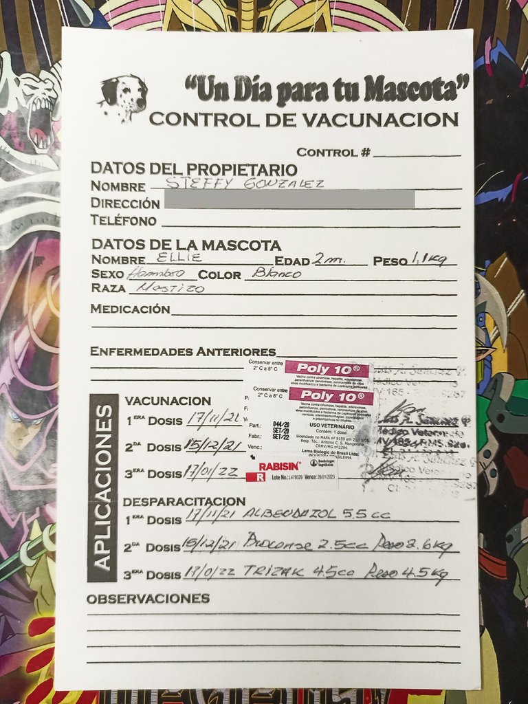 Tarjeta de vacunación.jpg