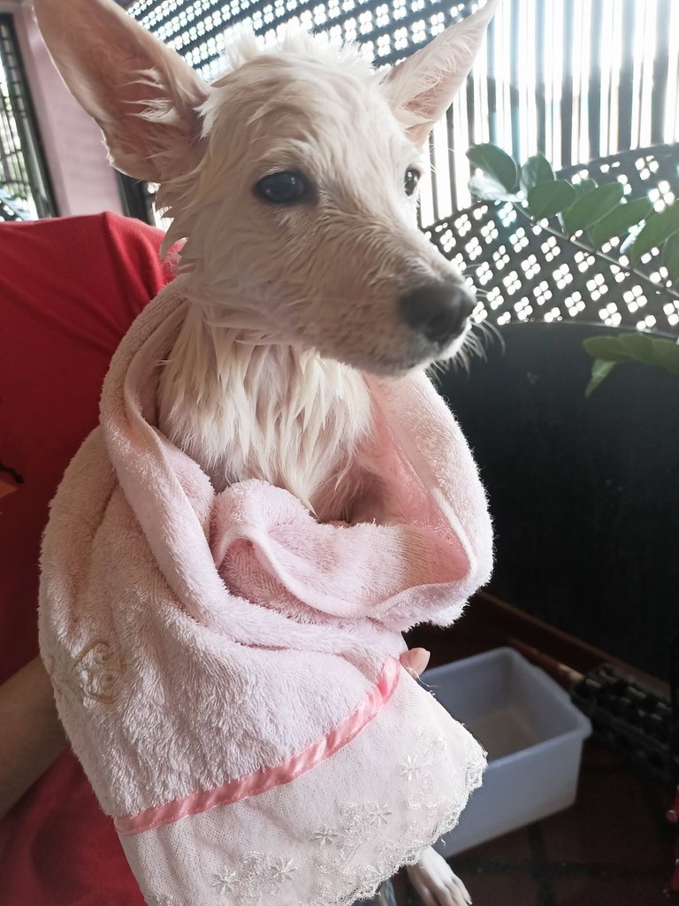 Ellie's first bath ♡︎ 3.jpg