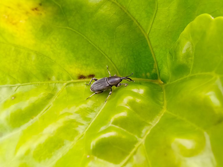 IMG_20230708_093007_884_polarr.png