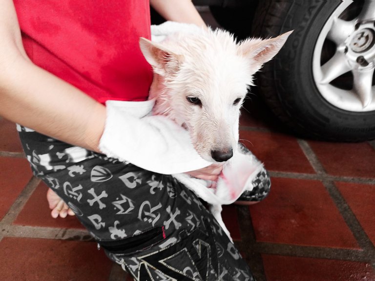 Ellie's first bath ♡︎ 1.jpg