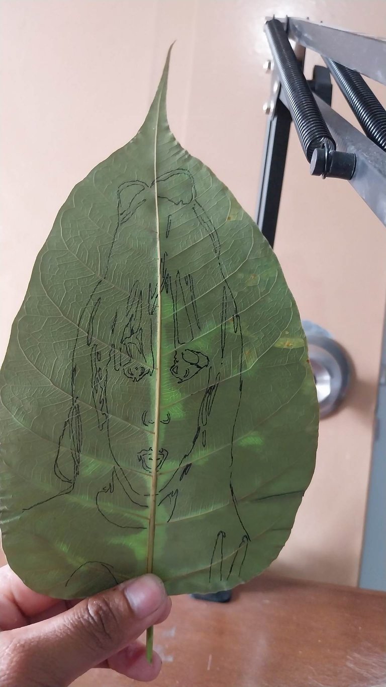 received_1023816628992179.jpeg