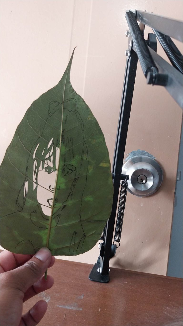 received_205709008959249.jpeg