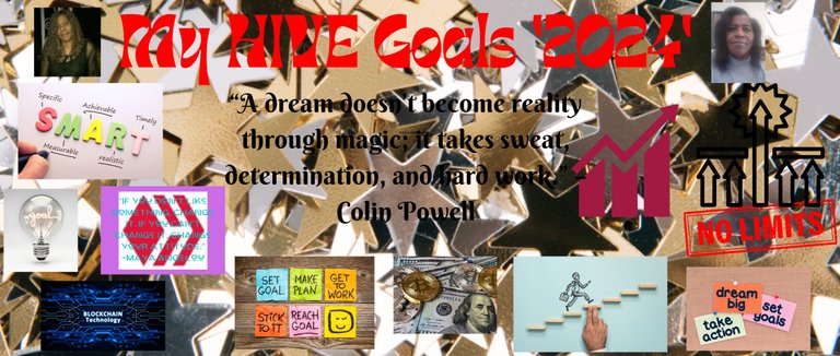 My HIVE Goals '2024' Banner crp.png