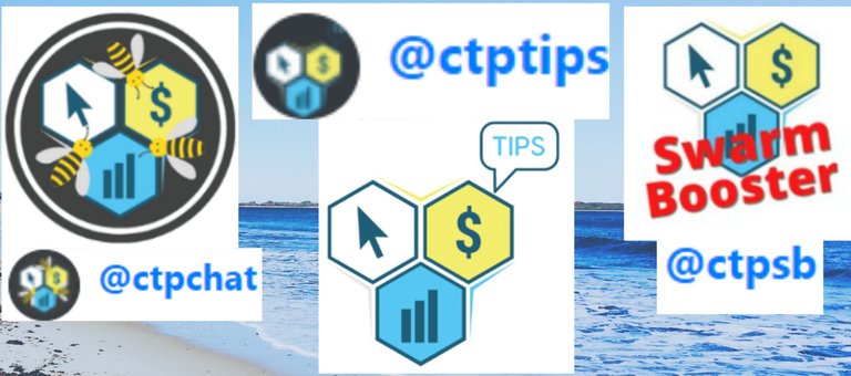 CTP CHAT SB TIPS (2).png