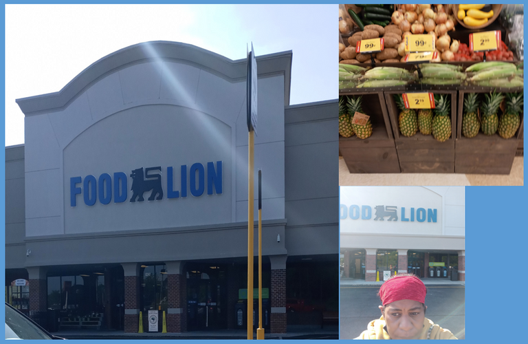 Food Lion (2).png